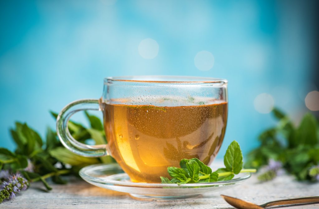 الأعشاب والنباتات