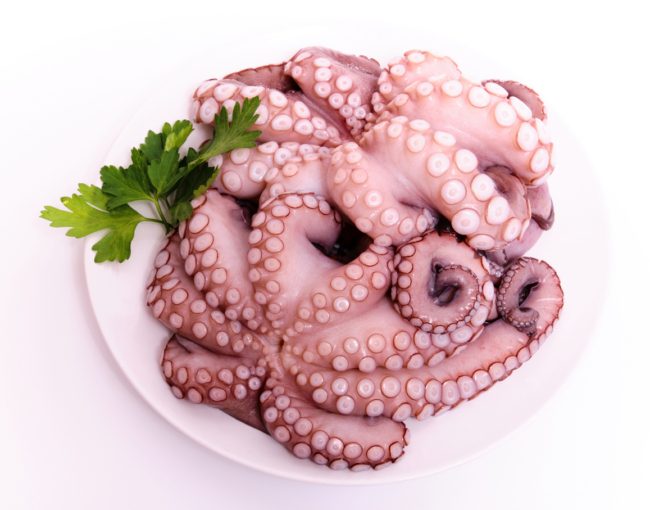 هل أكلت حيواناً “حياً” من قبل؟.. شاهد أطباقاً تؤكل حية حول العالم