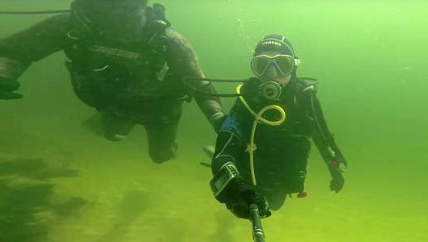 هل سبق وسمعت عن السياحة مع التماسيح في النيل؟.. والأكثر دهشة أنهم يدفعون نحو 6800 دولار ليغوصوا معها