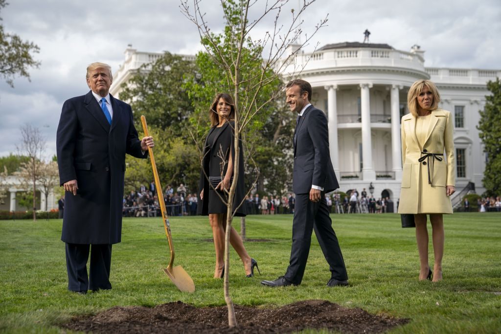 أين اختفت؟.. الشجرة التي أهداها ماكرون لترمب وزرعاها قبل أيام في حديقة البيت الأبيض أزيلت ولا أحد يعلم مكانها!