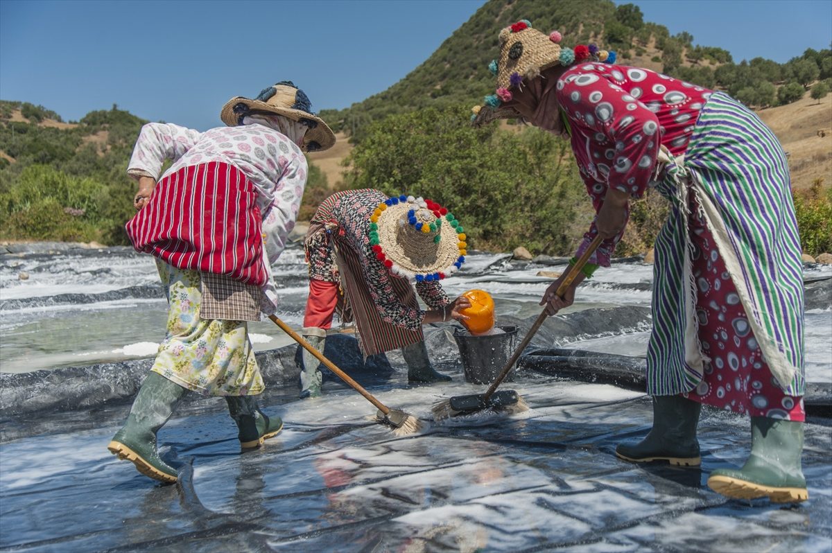 نساء “الذهب الأبيض” في المغرب لا ينالهن من اسم مهنتهن أي نصيب.. تعب وشقاء ثم بيع متواضع