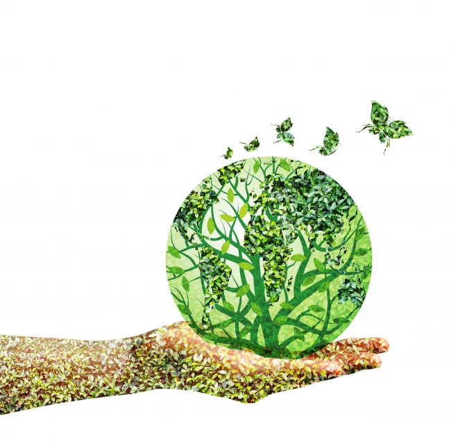 يشعل ثورات ويهز أنظمة.. عن أثر الفراشة وما يفعله