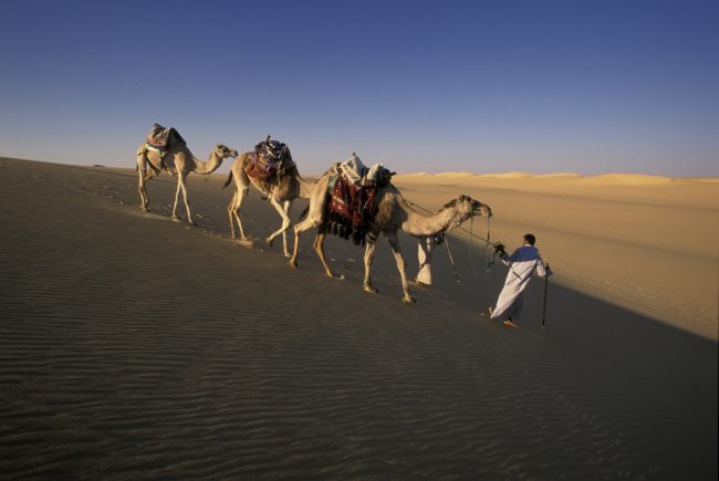 يبدو أن آثار مصر لا تقتصر على الفراعنة.. اكتشاف معبد يوناني في الصحراء!