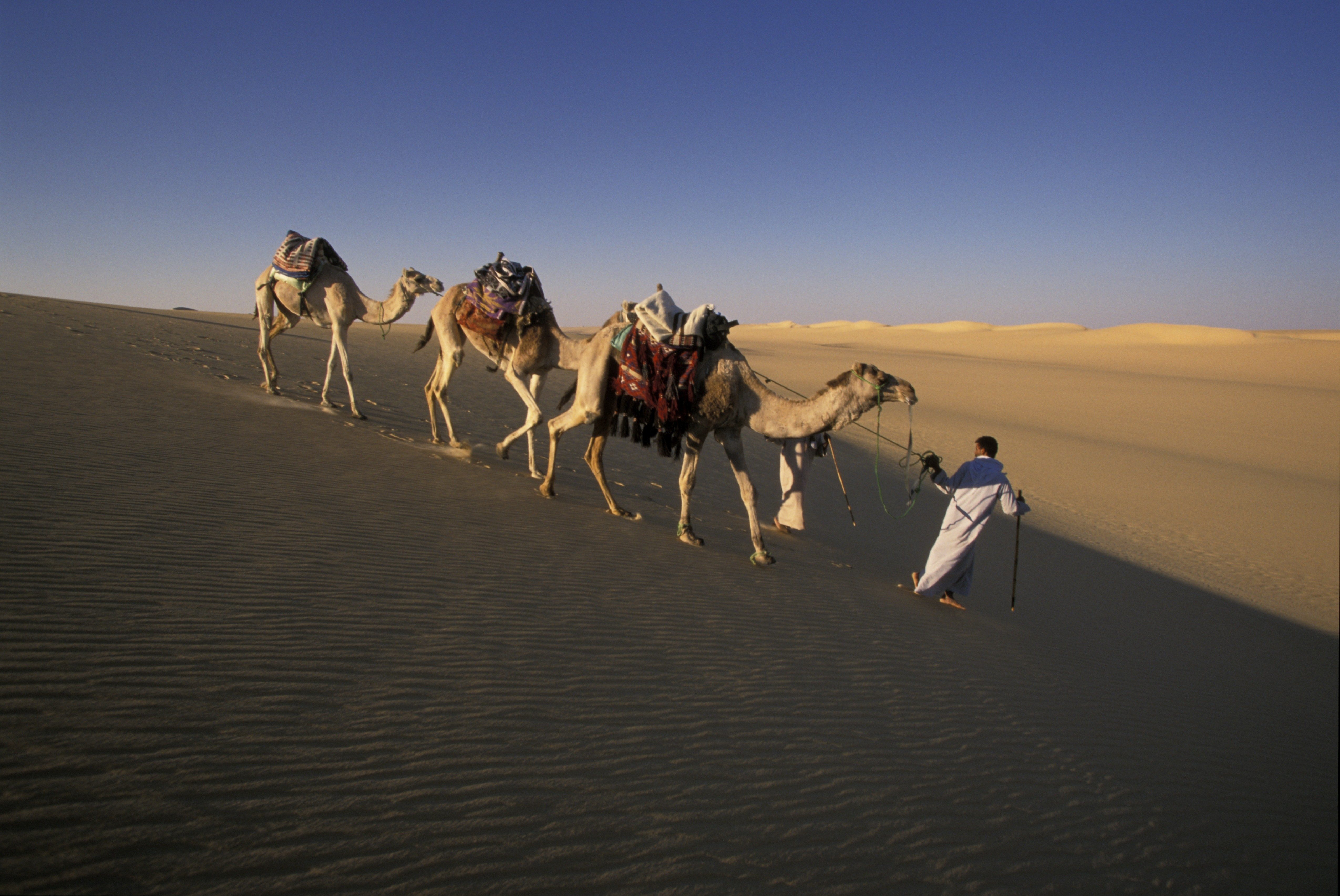 يبدو أن آثار مصر لا تقتصر على الفراعنة.. اكتشاف معبد يوناني في الصحراء!