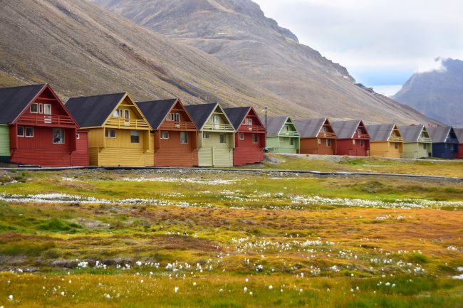 من فضلك، اذهب ومُتْ في القرية المجاورة.. فالموت هنا ممنوع بالقانون!