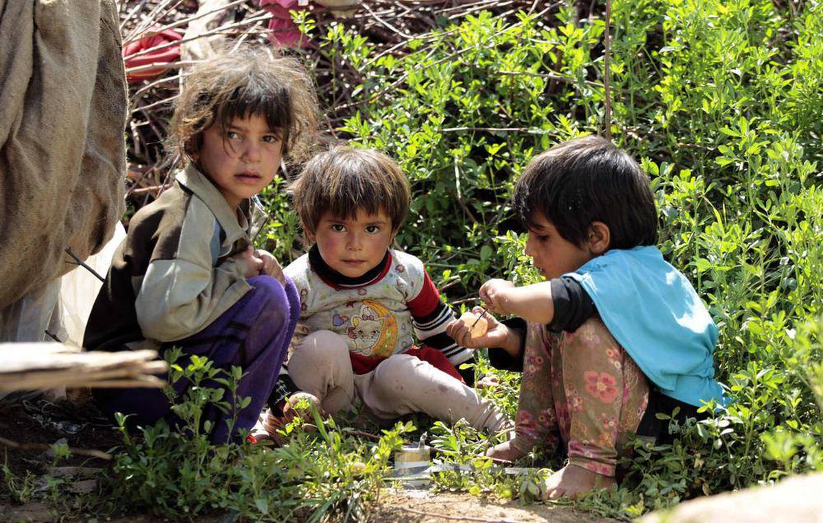 نجوا من براميل الأسد المتفجرة وهربوا لكندا ليجدوا أنفسهم أمام معركة مع عدو غير مرئي “يمتص دماءهم”