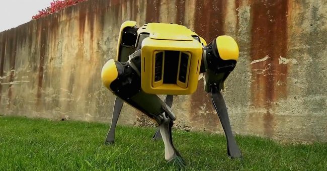 روبوتات مرعبة على غرار Black Mirror.. يمكنها فتح الأبواب وتجاوز العقبات ومطاردتك!