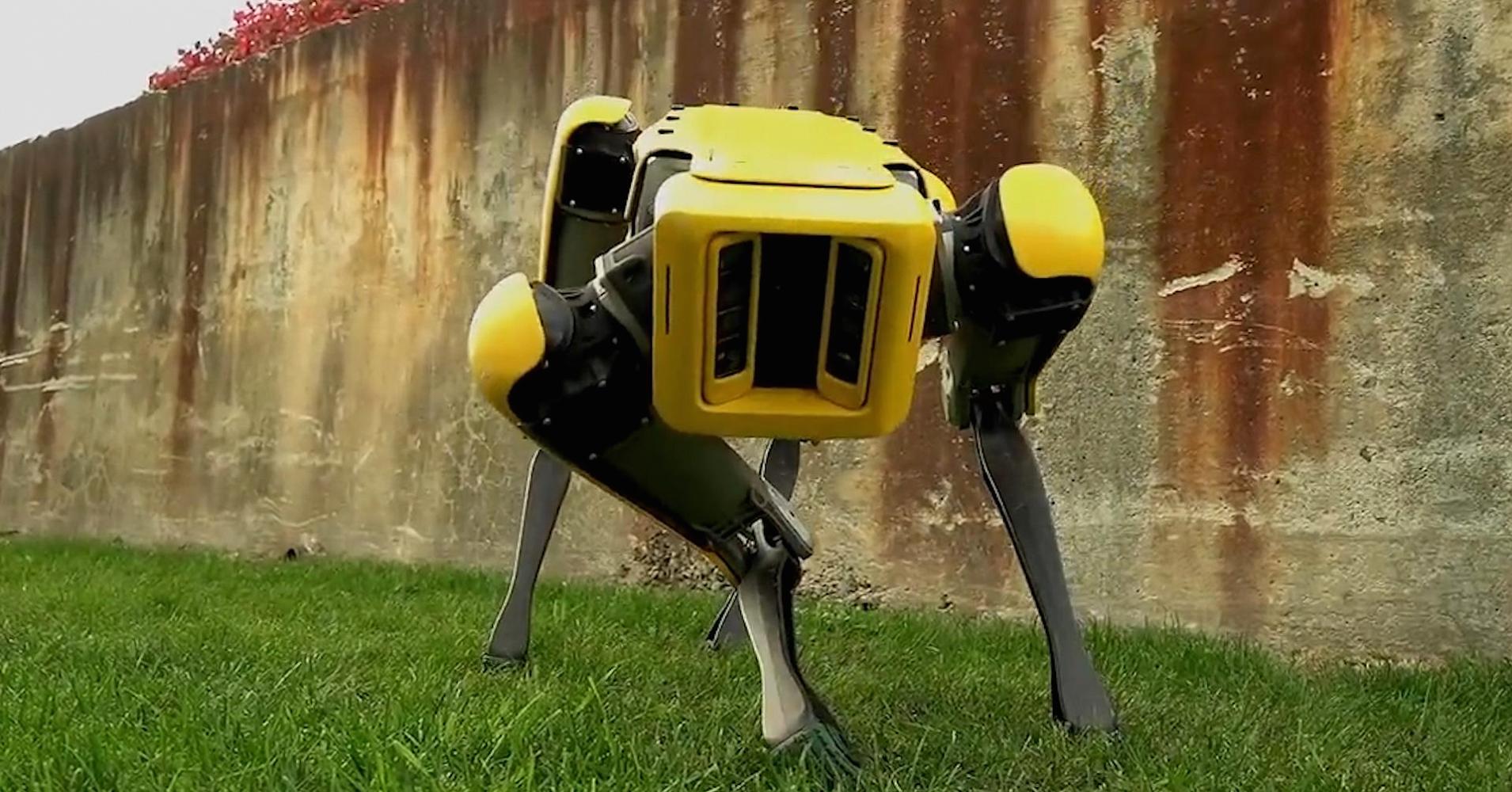 روبوتات مرعبة على غرار Black Mirror.. يمكنها فتح الأبواب وتجاوز العقبات ومطاردتك!