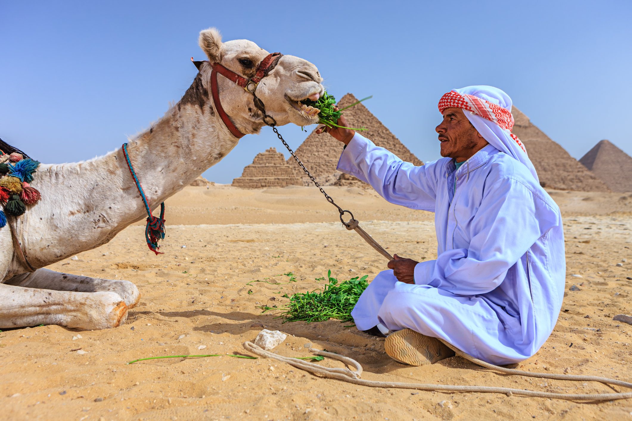 حياة جنسية محبطة ودخل مادي في الحضيض.. هل ستسعد الوصفة الإماراتية المصريين؟
