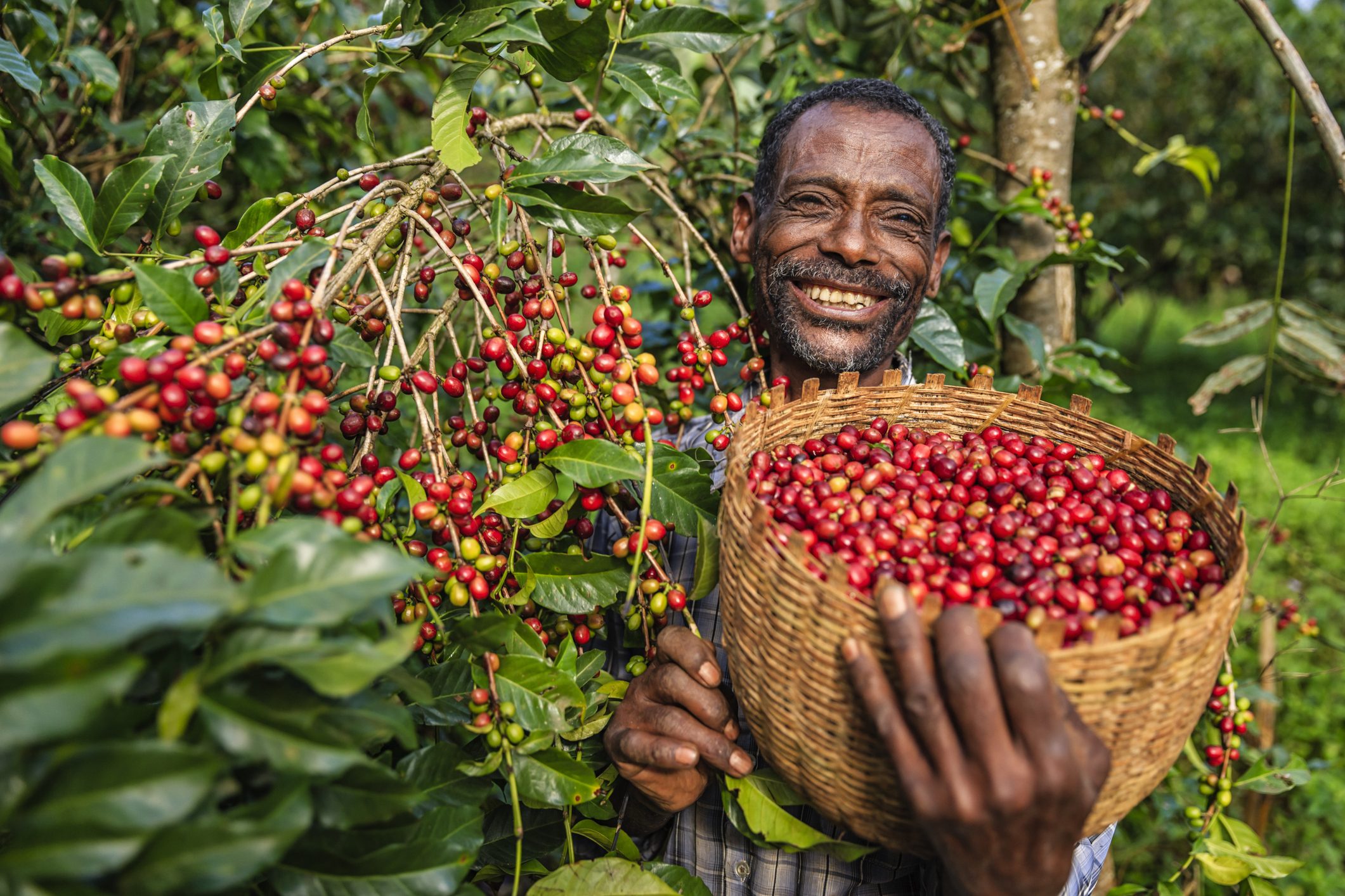 10 أشياء تشجّعك على زيارتها: ماذا تعرف عن “هوَّاسا” زهرة الجنوب الإثيوبي؟ “2”