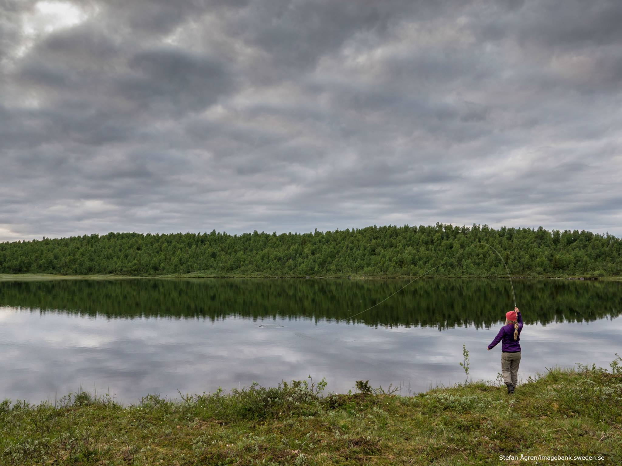 بعد 30 عاماً من الغياب.. فتاة سويدية تبحث عن أمها فتفاجأ بأن لها أخاً توأماً  