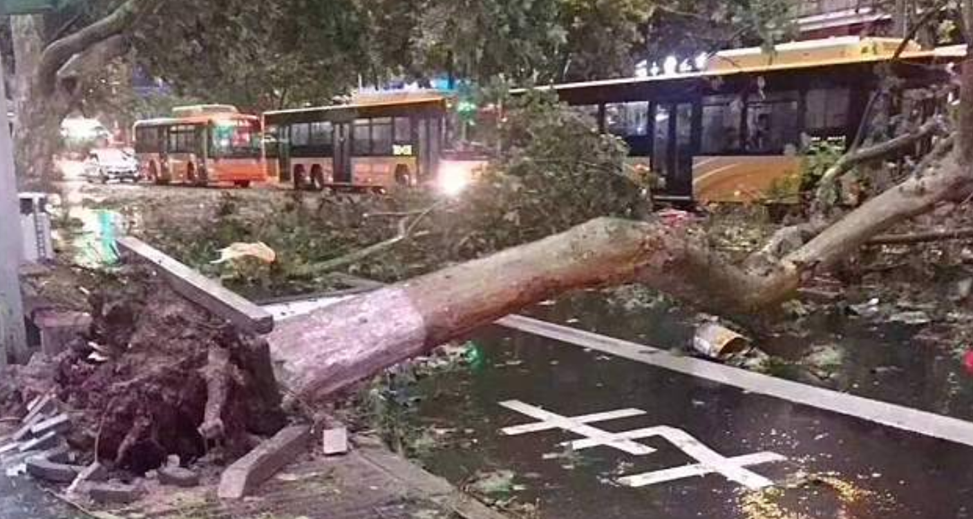 هل تخيلت يوماً أن تمطر السماء عليك “جمبري” وأخطبوطات ونجوم البحر؟.. ظاهرة غريبة وقعت بالفعل في هذا البلد الآسيوي، فما تفسيرها؟ (صور)