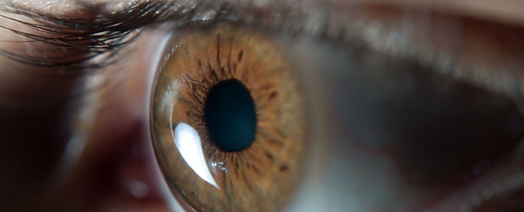 لا تستطيع أن ترى سوى الأجسام المتحرِّكة… قصة امرأة تعاني نوعاً غريباً واستثنائياً من العمى!