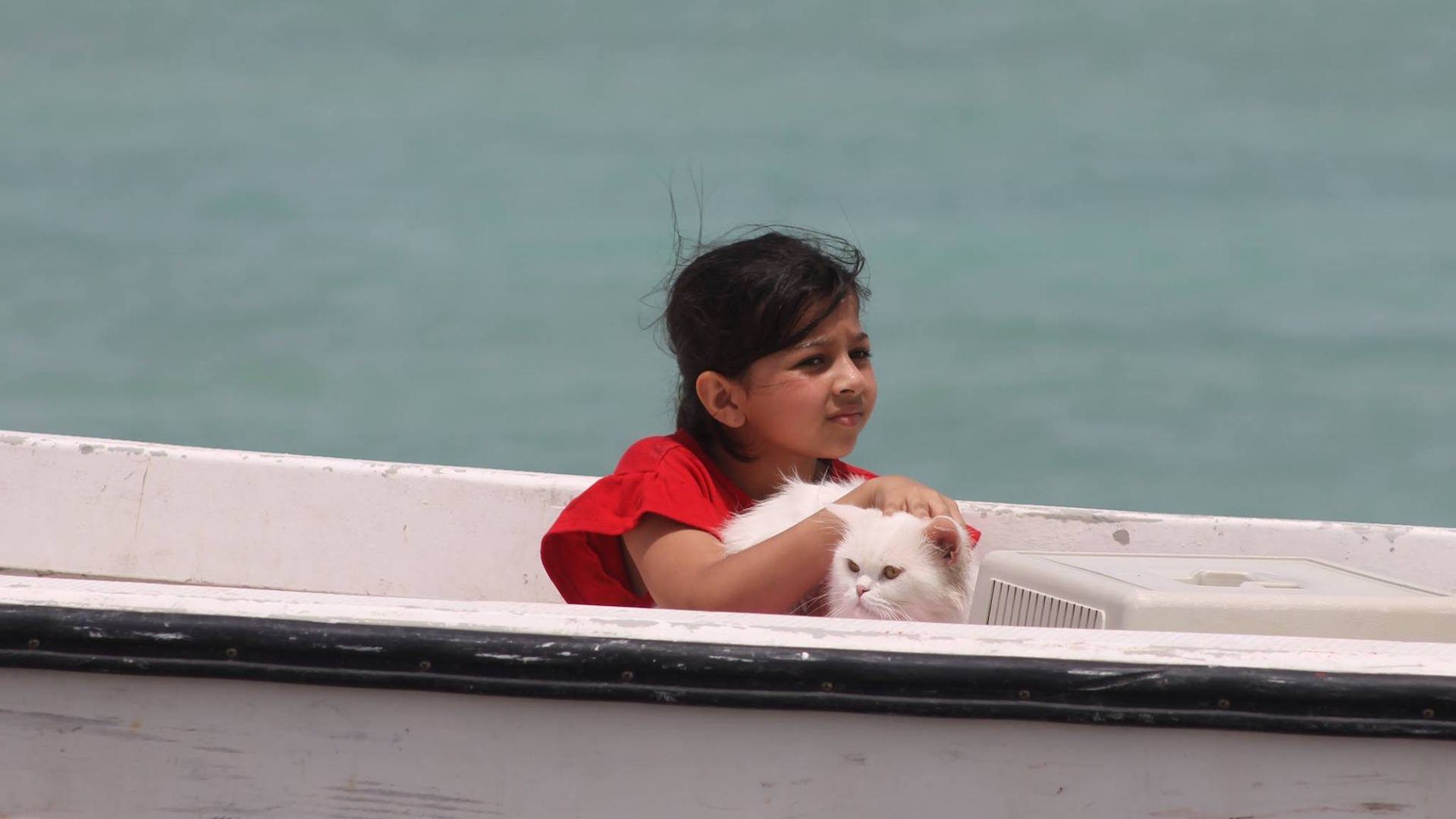 القطريون غاضبون.. سينمات بحرينية في الدوحة تمنع عرض أول فيلمٍ قطري طويل… ومطالبات بمقاطعتها!