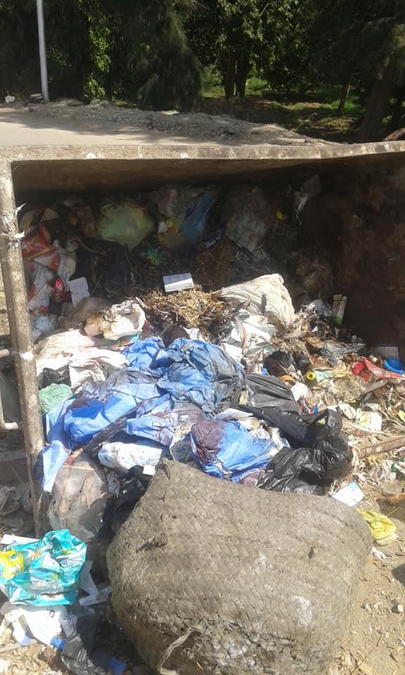 بالصور: أعضاء بشرية في القمامة بمصر!.. العثور على كبد وأحشاء شخص ، والسلطات تُحقق