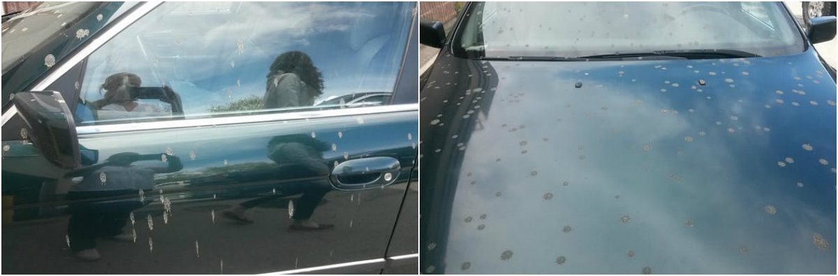 تسير بسيارتك مكشوفة السطح في يومٍ رائع وإذا بطينٍ يسقط عليك من السماء، هكذا يشتكي مواطنون في كندا بسبب فضلات الطائرات