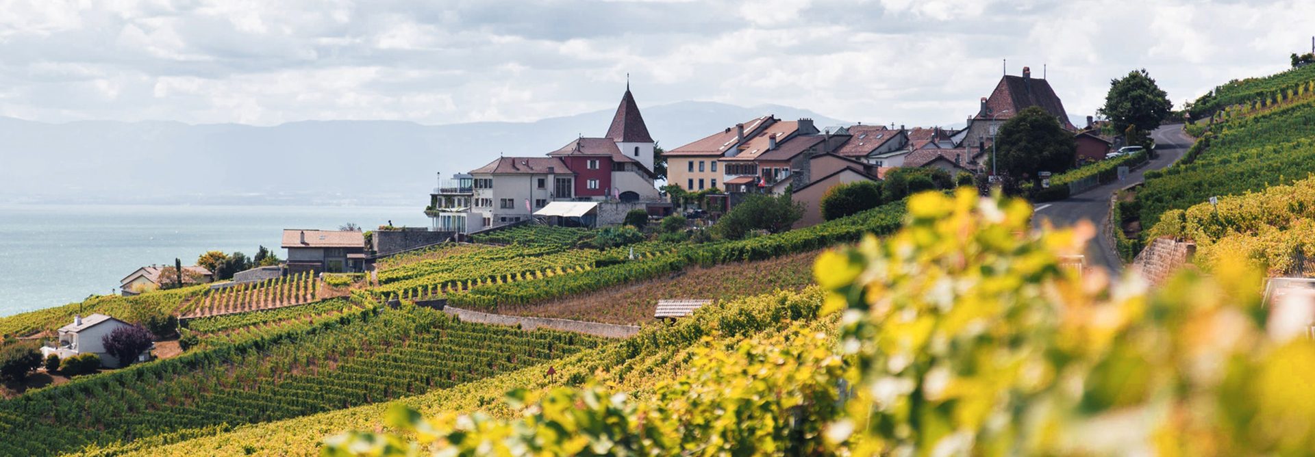 أبوتريكة متفائل ويشعر بسعادة غامرة بعد رفع اسمه من قوائم الإرهاب.. ولكنه لن يعود إلى مصر لسبب بسيط