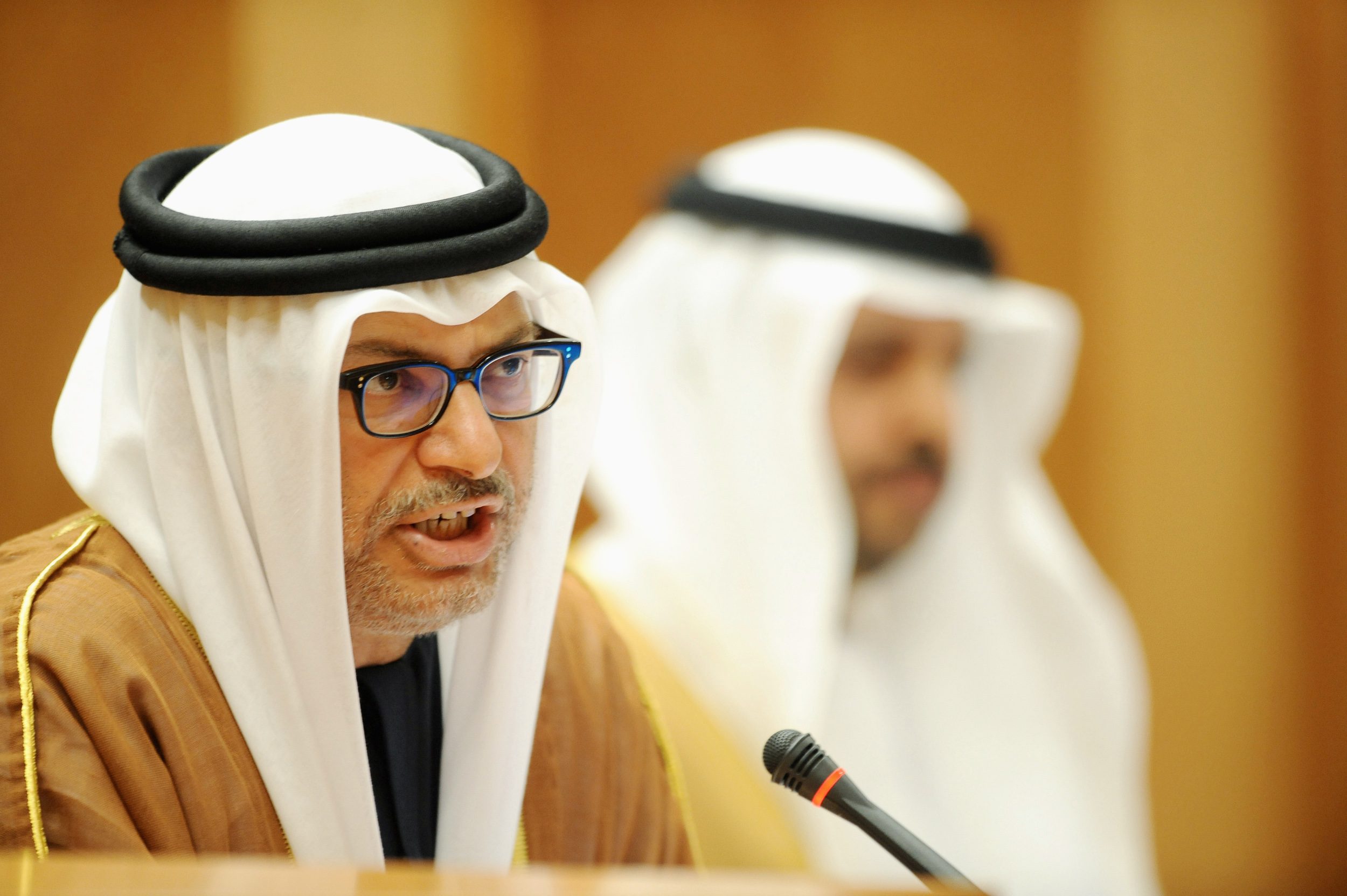 أنور قرقاش