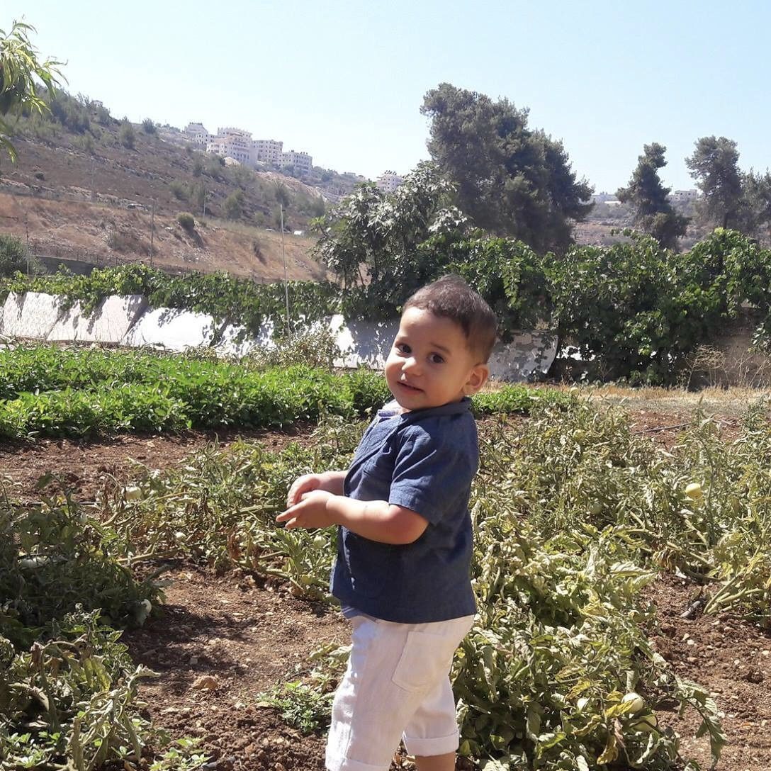 يحيى، ابن الكاتبة لمى خاطر، يستمر بالسؤال عن أمه منذ اعتقالها قبل أيام 