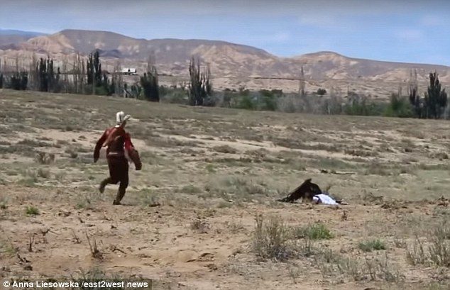 شاهد.. صقر ينقضُّ على طفلة عمرها 8 سنوات، ويحاول افتراسها!