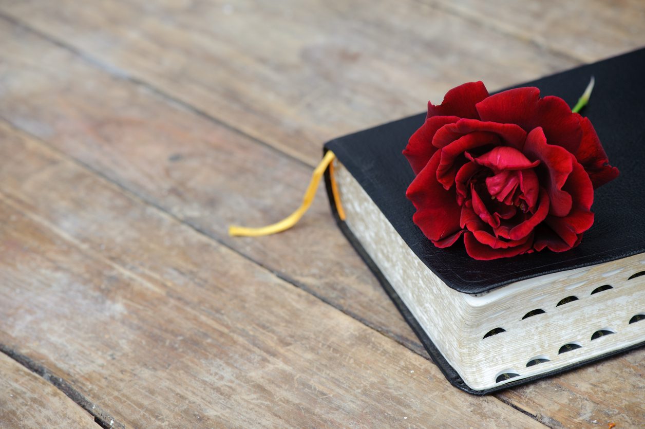 ما سرُّ جمال البدايات؟