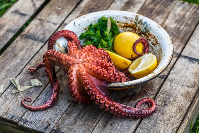 قتلوه ثم أكلوه.. مصير أخطبوط تنبَّأ بنتائج مباريات كأس العالم