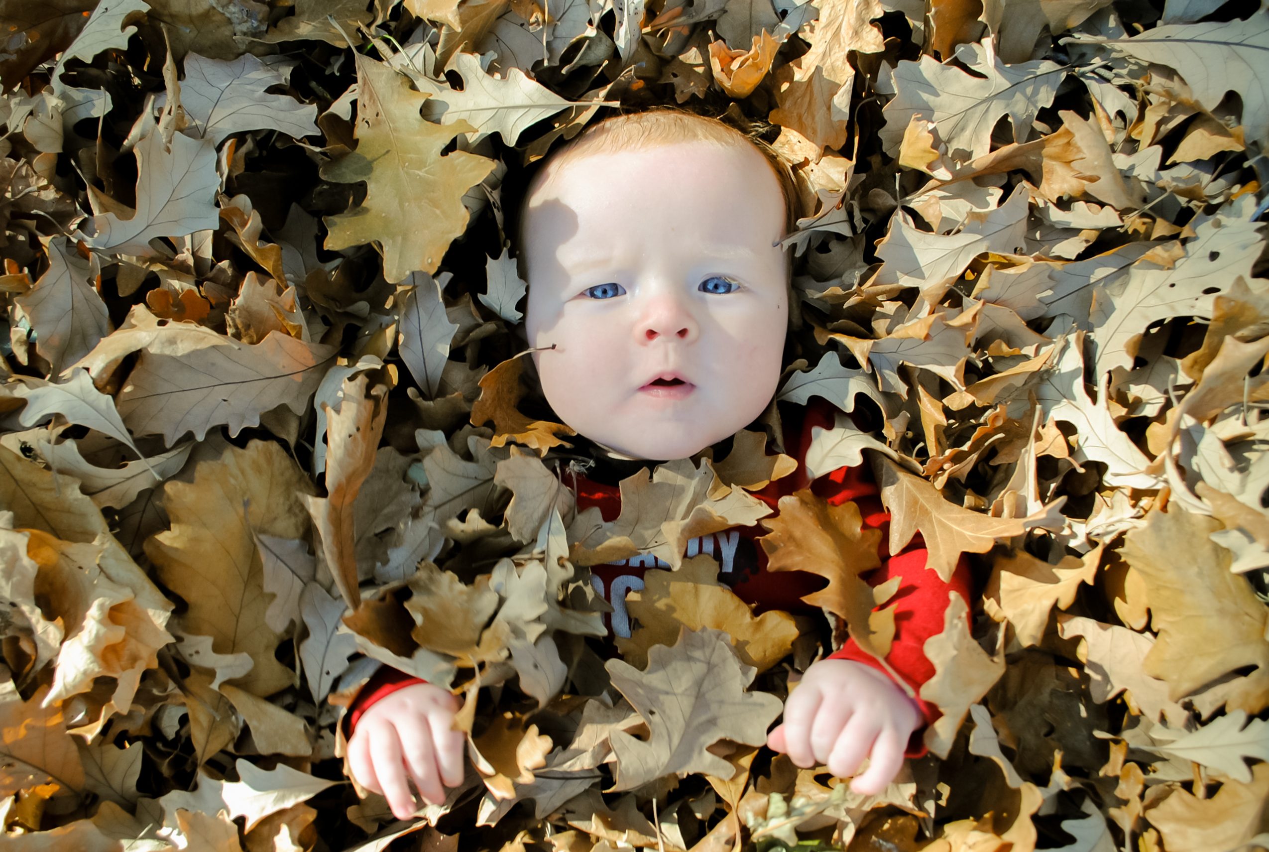 عمره 5 أشهر و مدفون في غابة بملابس مبللة في طقس بارد لساعات.. لكن المعجزة : وجدوه حياً