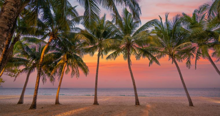 أول زعيم عربي يصل إلى تركيا لدعمها خلال أزمتها.. أمير قطر في زيارة عمل لأنقرة