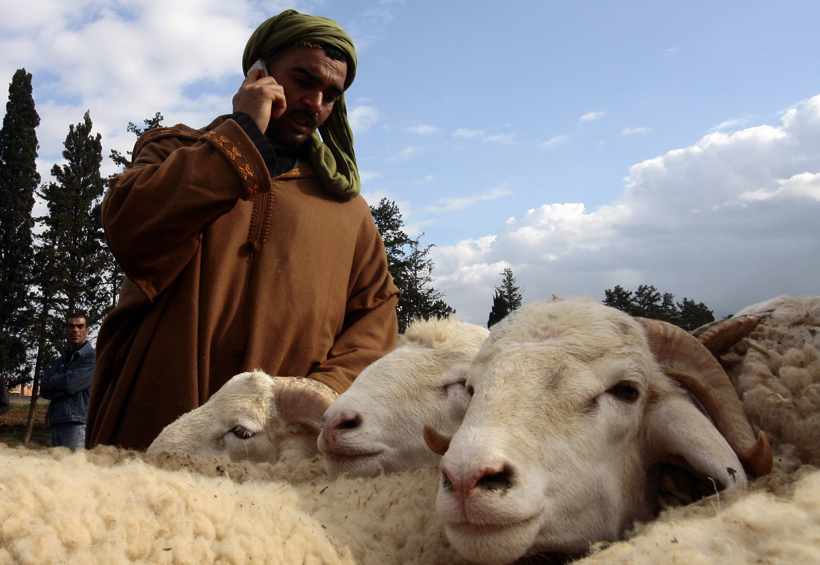 ستجني منها 4 ملايين دولار.. الحكومة الجزائرية تحث مواطنيها على التبرع لها بجلود الأضاحي