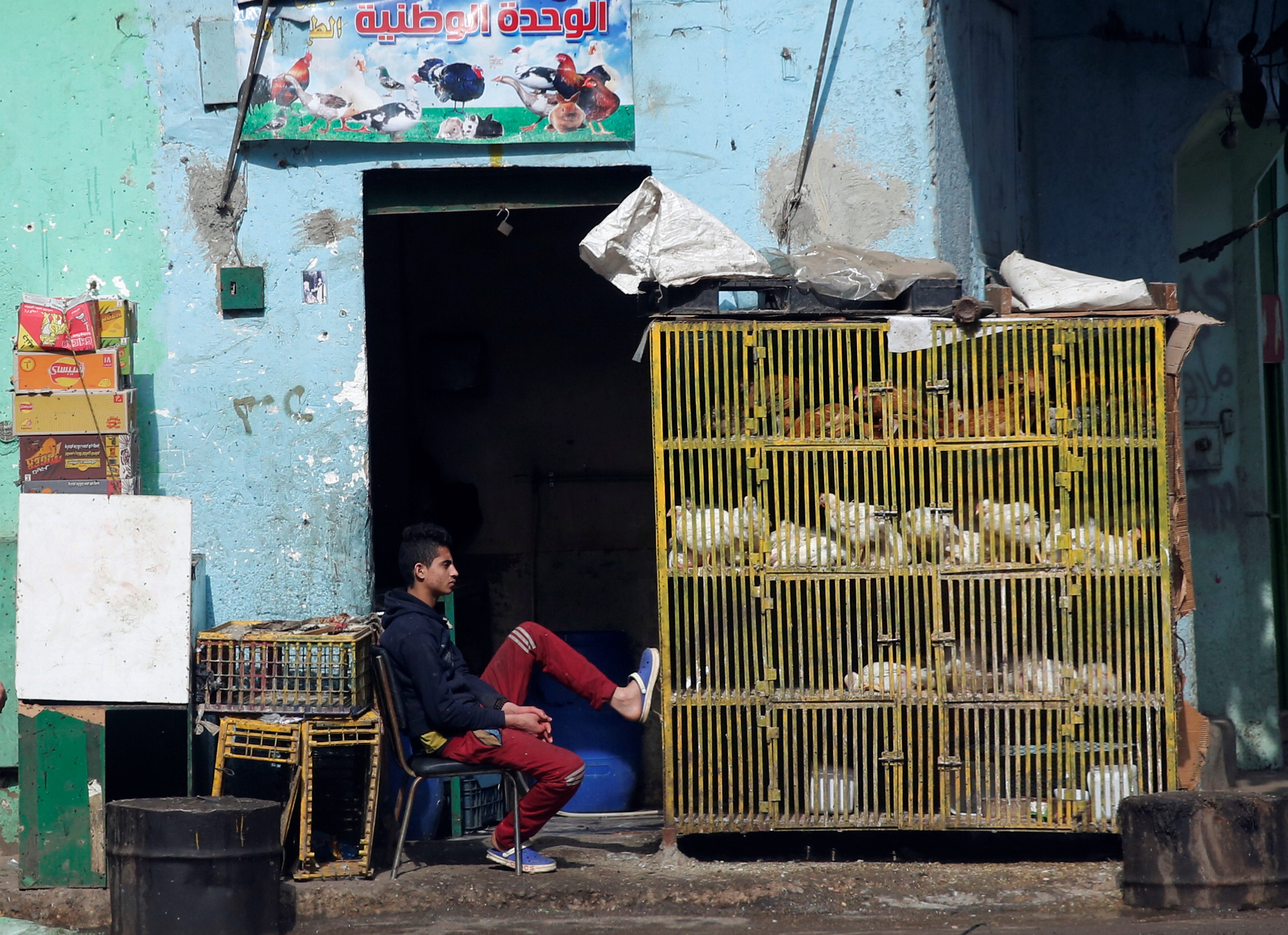 هياكل الدواجن وعظامها.. لماذا أصبحت ضيفاً رئيسياً على موائد المصريين؟