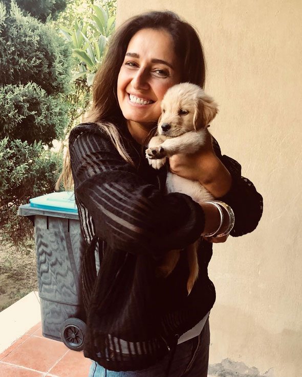 حلا شيحة عادل إمام