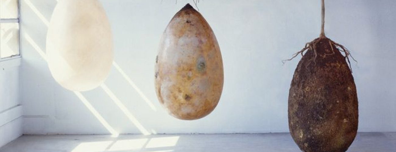 كبسولات من جثث الموتى