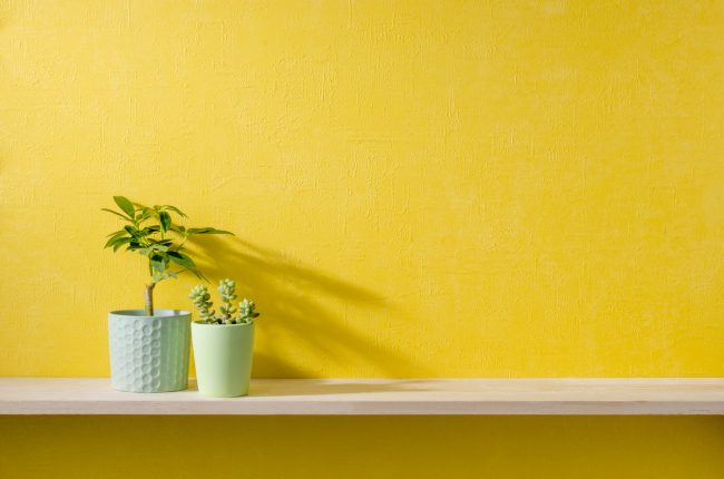 كانت تضعه المرأة الفرعونية على وجهها.. 5 حقائق غريبة عن اللون الأصفر