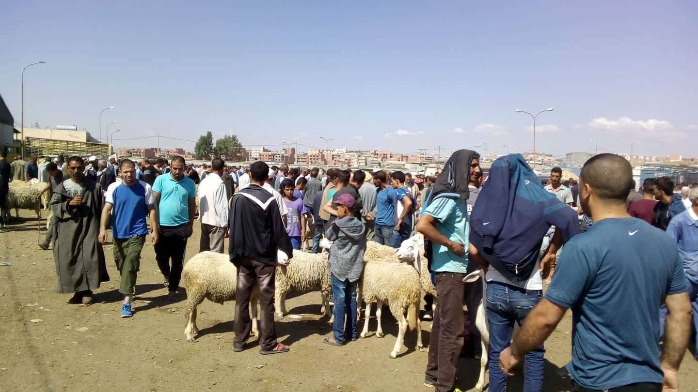 يوم الجمعة 10 أغسطس موعد الافتتاح الرسمي للأسواق المرخصة