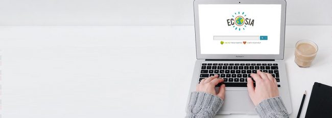 لا يتجسس عليك مثل جوجل ويجعلك تشارك في إنقاذ الأرض.. “إيكوسيا” محرك البحث الذي يزرع شجرة بكل click