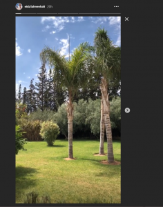 المغني الإماراتي عيضة المنهالي