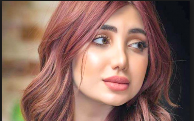 فيديو مسرّب من قبر تارة فارس يثير انتقادات العراقيين.. من صّوره ولماذا أغضب البعض؟