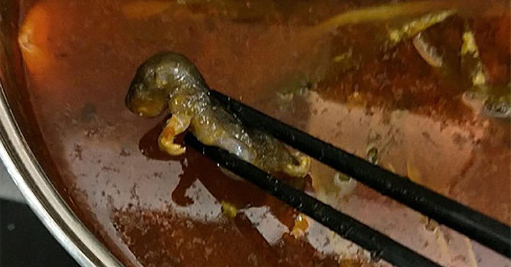 جرذ في طبق خضار يُفقد أشهر سلسلة مطاعم صينية 190 مليون دولار!