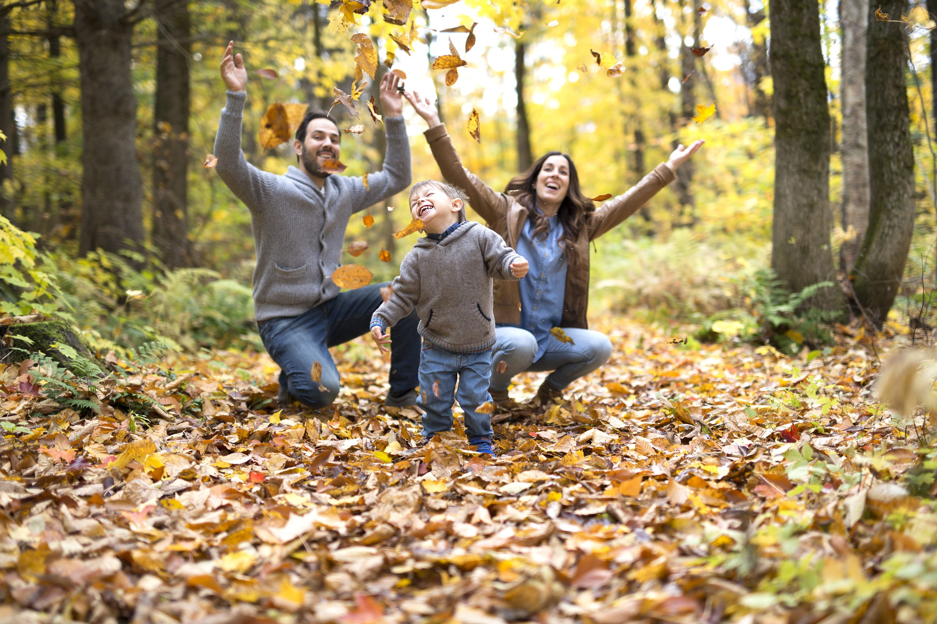 بعد أن وصفه الشعراء بأنه فصل الكآبة.. دراسة تثبت أن الخريف أفضل أوقات السنة لصحة الإنسان