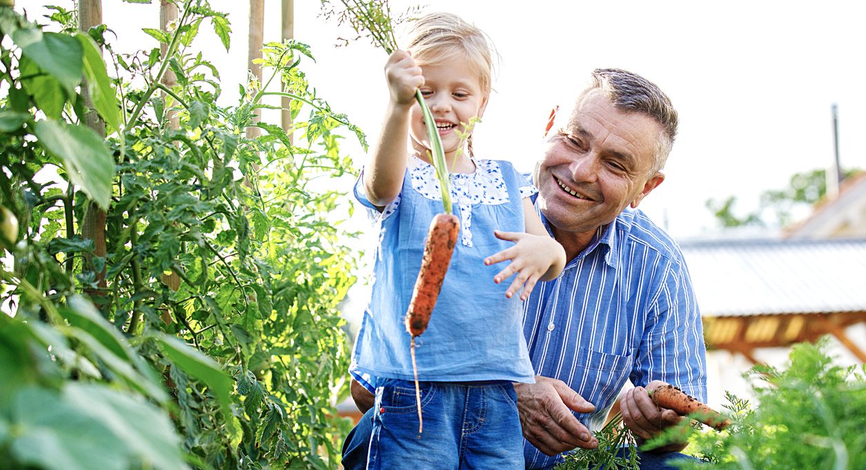 لا شيء ألذ من طماطم زرعتها بنفسك.. . إليك أساسيات زراعة الحدائق المنزلية لغير المزارعين