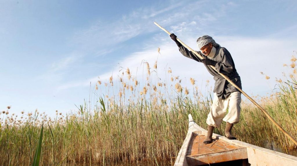 الأهوار في العراق أهوار العراق