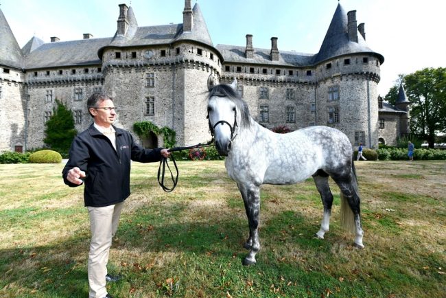 هدايا من نوع خاص قدَّمها بوتفليقة والسادات للرؤساء الفرنسيين.. تعرَّف على «دبلوماسية الجياد» لتبادل الرسائل مع باريس
