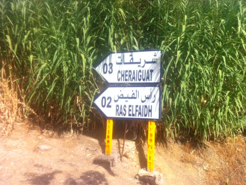 شريقات ورأس الفيض