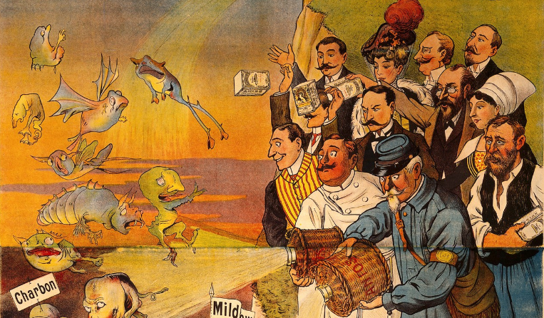 الرأسمالية البكتيريا