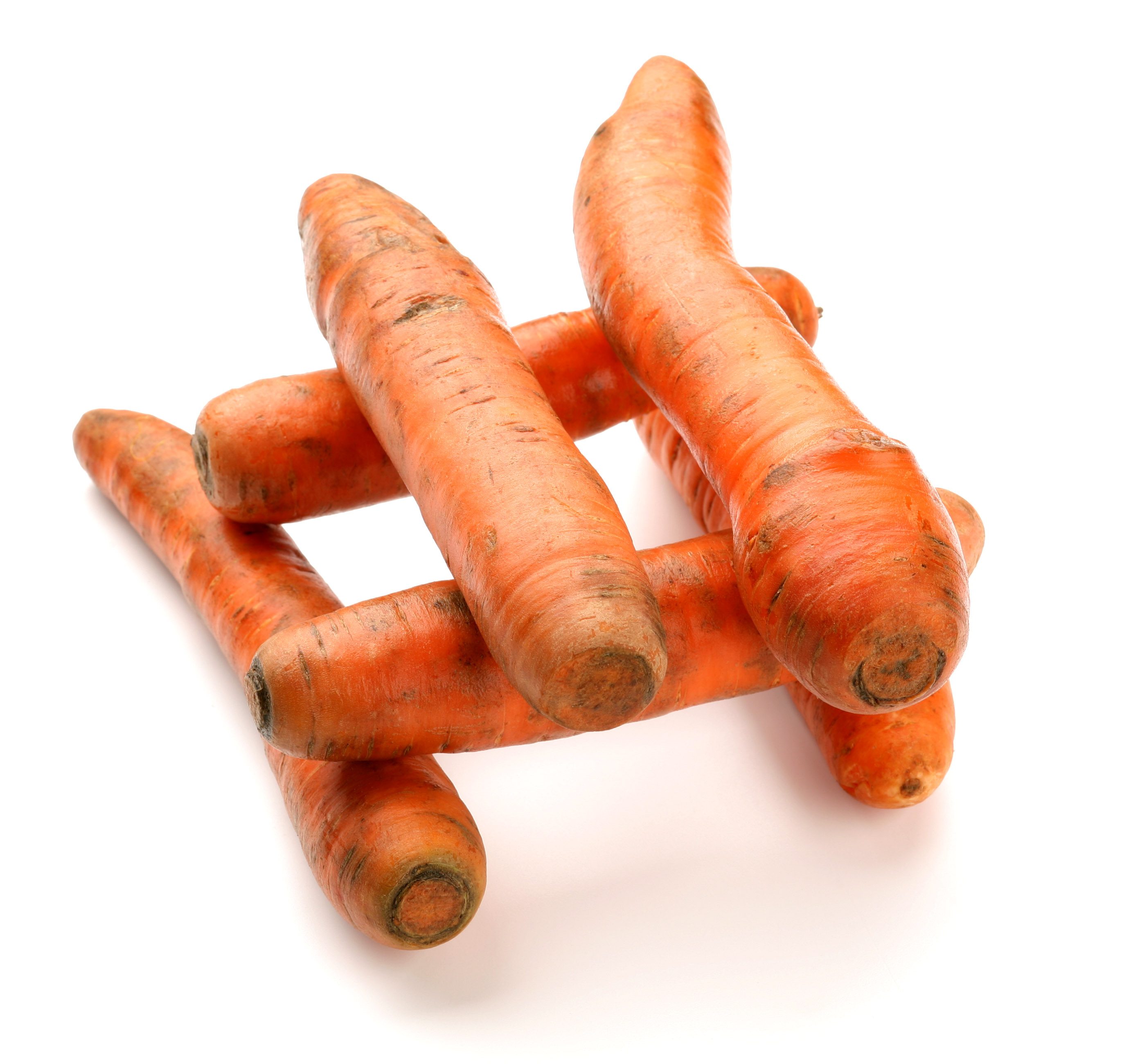 تبني منزلك بمخلفات الطعام