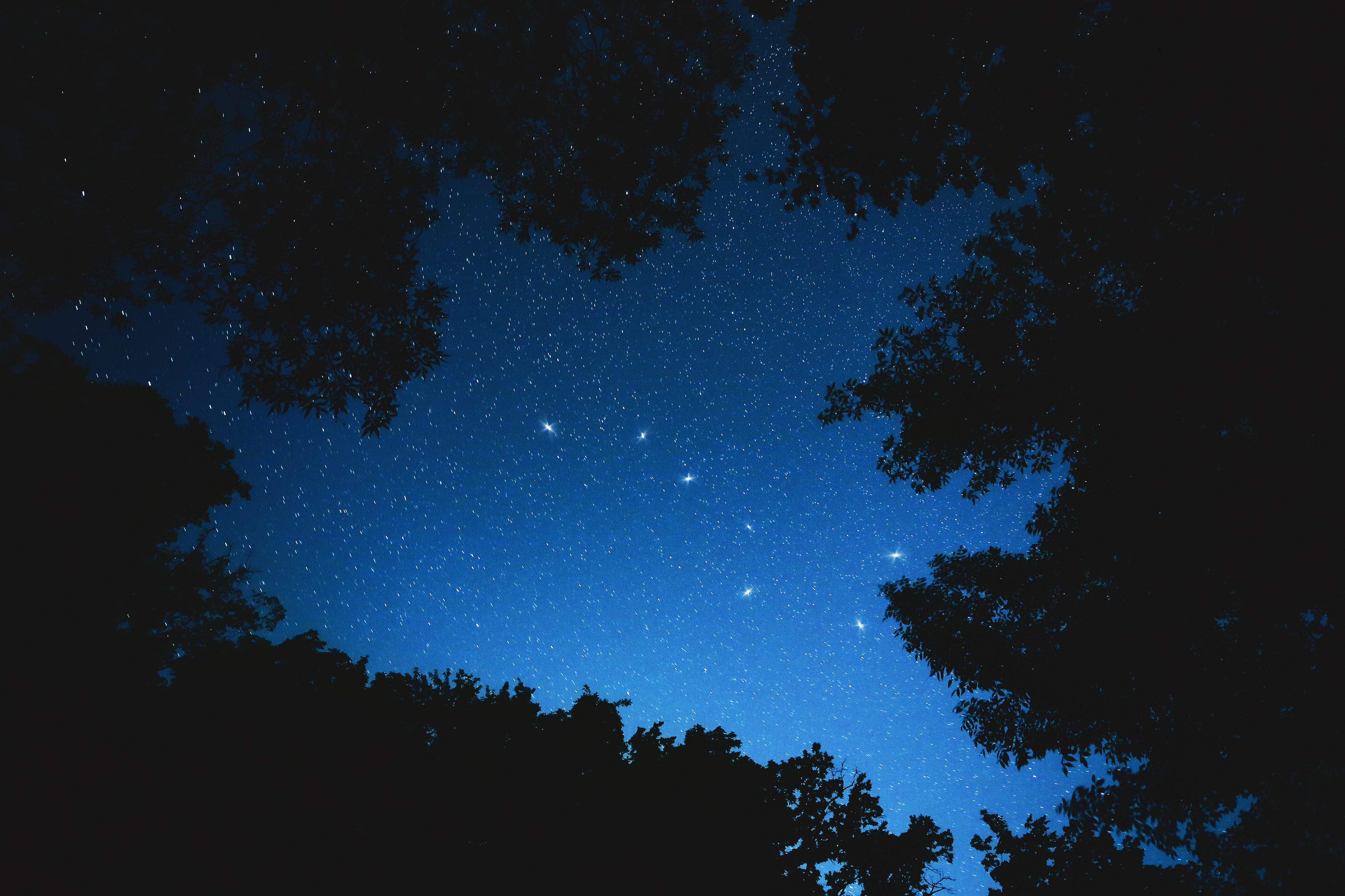 كوكبة المغرفة الكبيرة (Big Dipper)، يبدو توزيع النجوم كالمغرفة/ISTOCK
