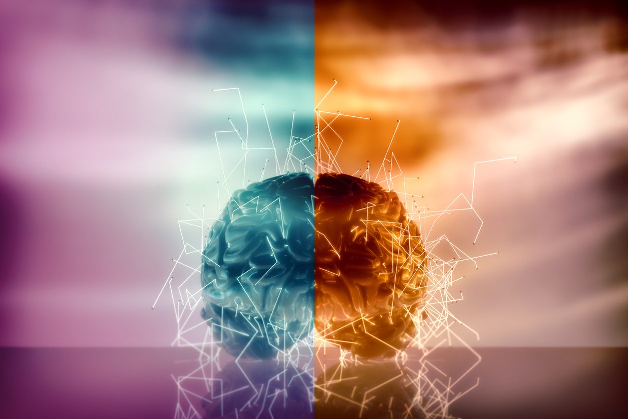 هل كنت تظن أن الدماغ الأيسر يتحكم في الجانب الأيمن؟ علماء يصححون هذا المفهوم بعد عقود من الفهم الخاطئ