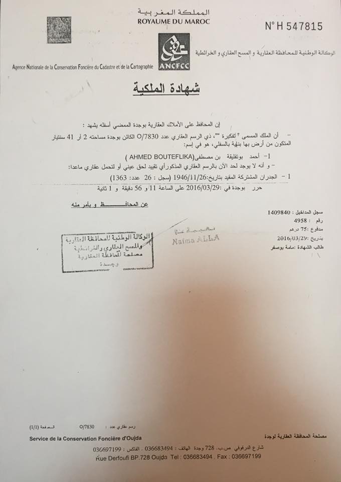 صورة من الوثيقة / عربي بوست
