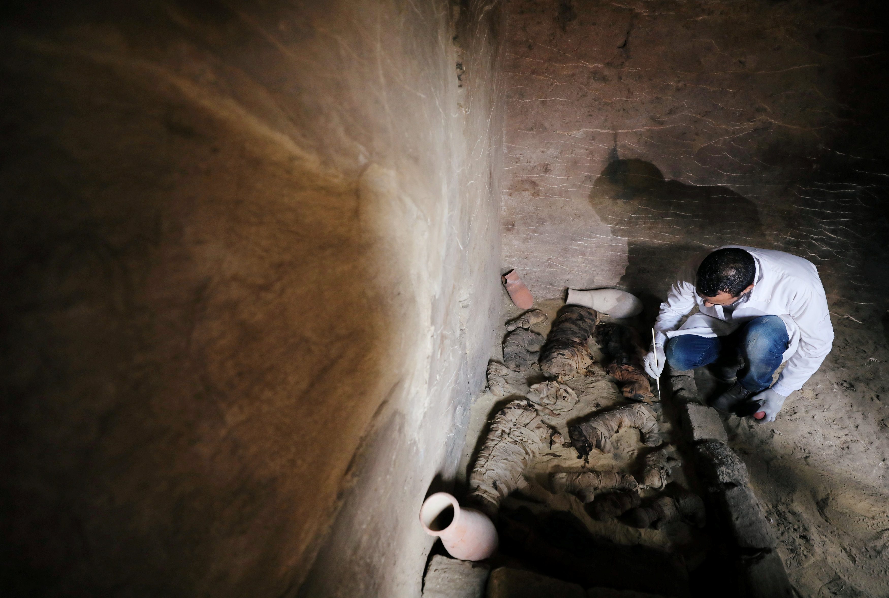 مصر تعثر على مقبرة بها عشرات المومياوات للقطط وخنافس الجعران