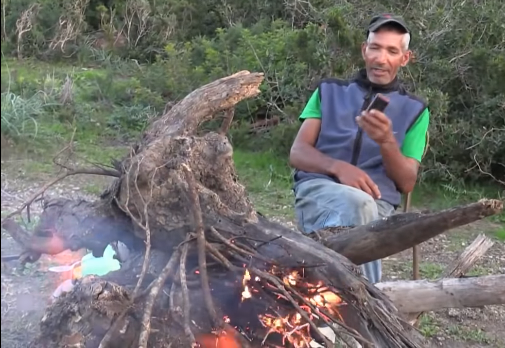 طرزان الجزائر